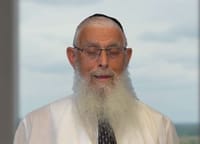 איך נראית מדינה יהודית אידיאלית? הרב יעקב אריאל בסרטון מפתיע