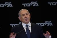 נתניהו חיים גולדברג