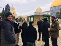 לאחר סערת גליק: עשרות יהודים עלו אל הר הבית