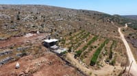 המדינה: הטיפול בבנייה הבלתי חוקית יביא להסטת משאבים