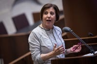 זהבה גלאון חסמה את הח"כ: "טרוריסט מורשע"