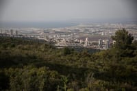 ביקור מפתיע | באמצע הקיץ – גשם יורד בצפון