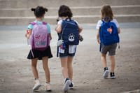 משרד החינוך: כך ניתן לחזור ללימודים במרחב פתוח