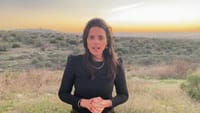 שקד: "אולי יקרה נס חנוכה ונתניהו יעמוד בהבטחתו"