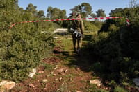 ד"ר אבי הרלב, תושב סנסנה נמצא ירוי ביער להב