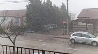 התחלנו: שלג החל לרדת בהר ברכה בשומרון. צפו