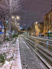 שלג על עירי: פלייליסט חורפי שיחמם את הלב