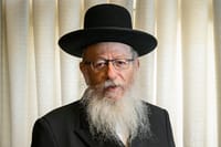 ליצמן: "היטפלות ועלילת דם מרושעת"