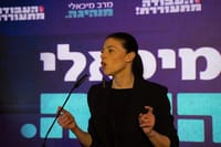 מיכאלי "הצליחו לרצוח את רבין אבל לא את הדרך שלו"
