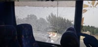 הטרור והמתקפות ממשיכים: אוטובוס הותקף בהר הזיתים