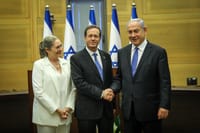 נתניהו הרצוג, ארכיון