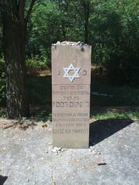 היום בהיסטוריה: ה' בתמוז – הפוגרום ביהודי קיילצה