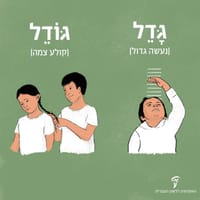 גדל או גודל? ישן או יושן? האקדמיה ללשון מסבירה