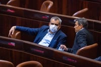 אלקין: הבעיה האמיתית בתמונה של נתניהו