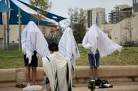 האשמת הגרעינים התורניים בלתי מבוססת | תגובה