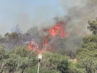 שריפת ענק מאיימת על היישוב בית אל. צפו בתיעוד