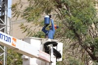 בגלל גלי החום: גידול משמעותי בצריכת החשמל