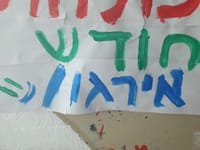 לילה אחרון של חודש ארגון | שידור סרוגים מהסניף