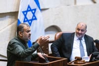 חשש ברע"מ: זה המהלך שאיילת שקד מתכננת