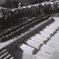 היום בהיסטוריה: 38 הרוגים בפיגוע בטיסת סוויסאייר