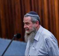 יש הסכם בין נעם לליכוד: זה התפקיד של אבי מעוז