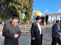 צפו: הר הבית נפתח מחדש לעליית יהודים