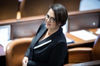גלית דיסטל על תקרית המרפסת: "לא הייתי לבד"