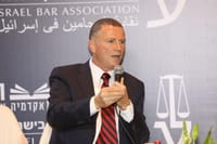 אדלשטיין: בגלל נתניהו יש כאן ממשלה שעושה נזקים