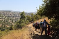 טראגי: אישה כבת 66 נפלה אל מותה בנחל עמוד