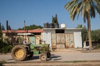 היום בהיסטוריה: 85 שנה להקמת קיבוץ טירת צבי