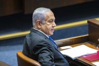 "מסוכן לחברה הישראלית". בנימין נתניהו
