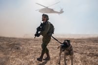 צפו: תצוגת תכלית של צה"ל לרמטכ"לים זרים