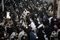 קיבוץ החסידים באומן תשפ"ג (חיים גולדברג)
