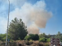 שריפת קוצים בין לטרון לשער הגיא, צוותי כיבוי במקום