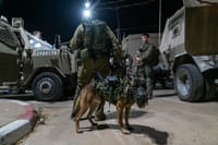 כוחות הביטחון עצרו חשודים בסיוע לפיגוע בשועפאט