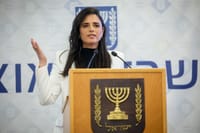 הבכיר בליכוד: איילת שקד עשתה את הדבר הנכון