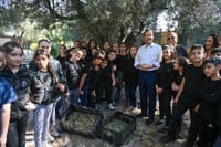 צפו: הנשיא מסק את עצי הזית בגינת בית הנשיא