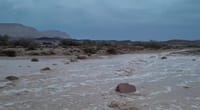 גשמי הברכה: שיטפון מרהיב בנחל רמון בנגב