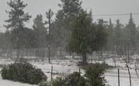 שלג כבד נערם:אלו היישובים בהם אין היום לימודים