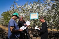 ברכת האילנות: נוסח מלא עם כל הבקשות והתוספות