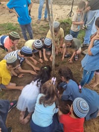 ילדי כרם שלום שתלו עצים בבורות שנפערו מהרקטות