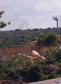 מחבלים טוענים: שיגרנו 2 רקטות לשקד מג'נין