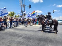 המהומות בירושלים: מפגינים היכו סוסים ונעצרו