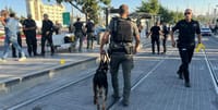 שלפה סכין: אישום נגד המחבלת מהרכבת הקלה