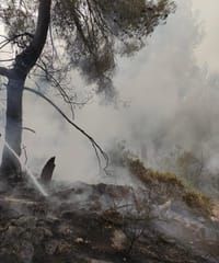 שריפה משתוללת בהרי ירושלים בסמוך לכביש 1