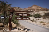 בן ה-8 שניצל מהאסון בנחל דוד: "חטפתי סלע בראש"