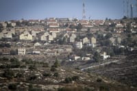 בזכות התצפיתניות: נתפס מחבל חמוש ליד אלון מורה