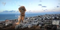 תיעוד מהקרבות: הלחימה בגדוד המרכזי של חמאס