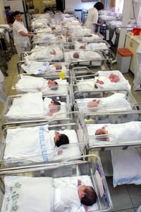 אלון, נטע תמר ורגב: שמות הצמחים של ילדי 2023