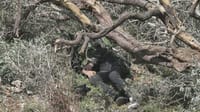 מבצע הפיגוע בדולב: עובד המשמר הפלסטיני לשעבר
